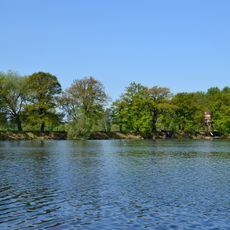 Duby u Horního Fikače