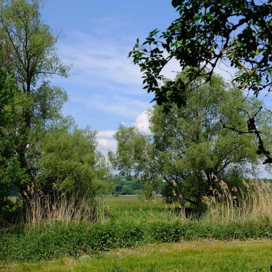 Verordnung des Landkreises Freising über das LSG "Freisinger Moos und Echinger Gfild"