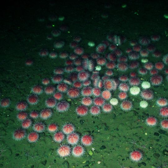 Olympic Coast National Marine Sanctuary