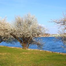 Morii Lake