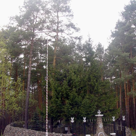 Anielin, Opoczno County