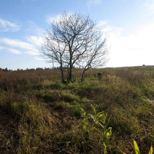 Kříž jihovýchodně od Obory v poli