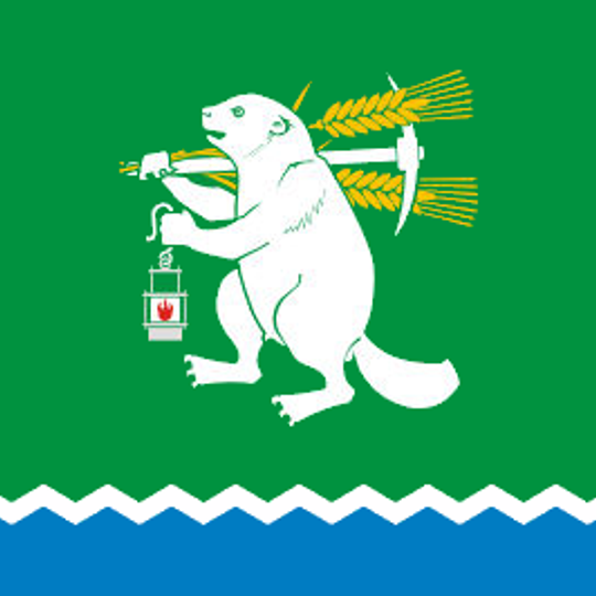 Artyomovsky District