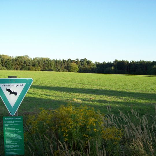 Erlensteg von Bieber