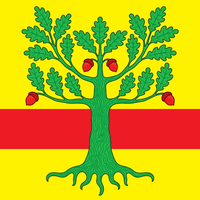 Lomonosovsky District