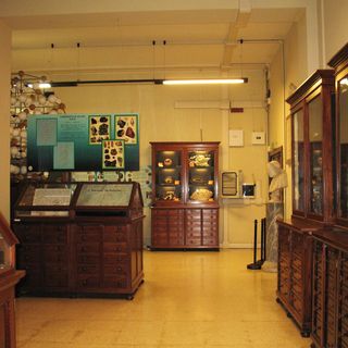 Museo di Mineralogia Roma