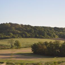 Duck decoy 700m WNW of Rookery Farm