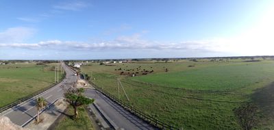 Panoramic View 2