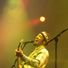 Ben Harper