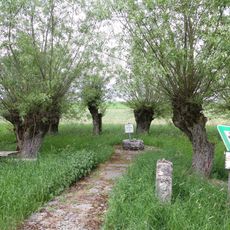 Kopfweidengruppe mit Taufstein aus dem 2.–3. Jahrh. Selberten