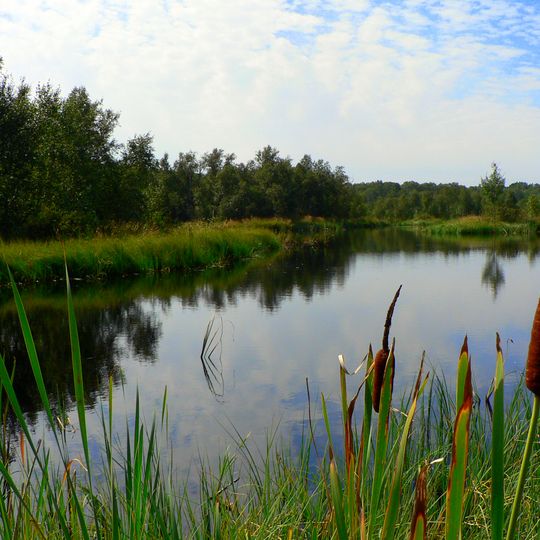 Horowe Bagno Nature Reserve
