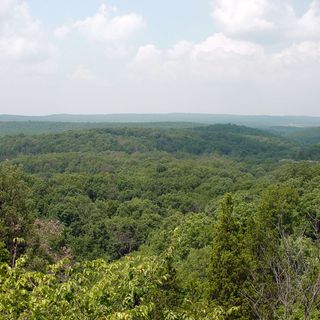 Floresta Nacional Shawnee