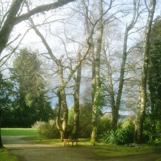 Jardín Botánico de la Universidad Austral de Chile