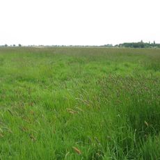 Binnensalzstelle Rethriehen