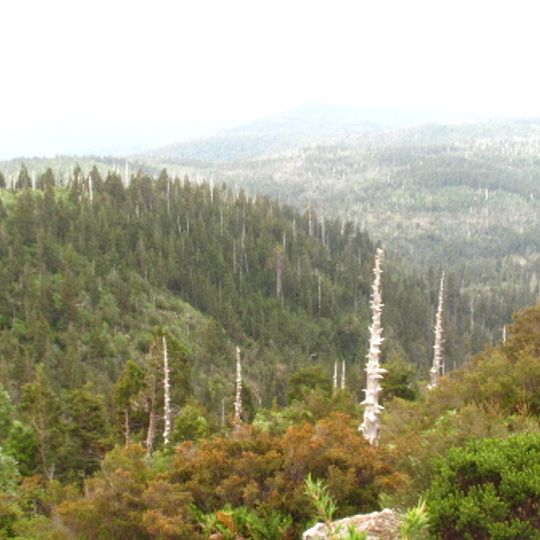 Parc national Alerce Costero