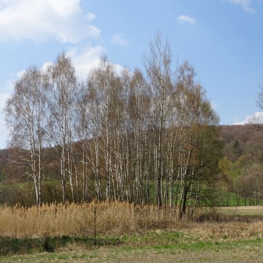 Haselgrund bei Schwarzenhasel
