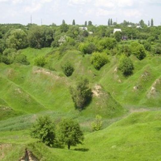 Kovalivskyi Gully Reserve