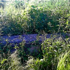 Cmentarz żydowski w Sarnakach