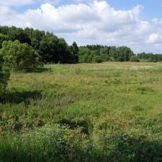 Naturschutzgebiet Mühlwiesen bei Nieder-Moos