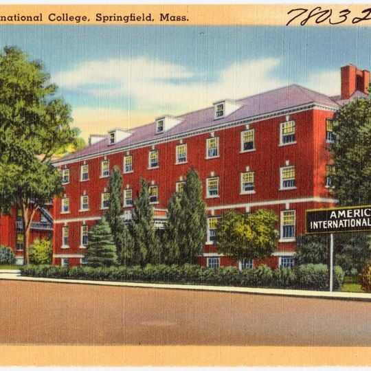 American International College