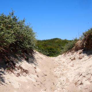 Dunes of Schiermonnikoog