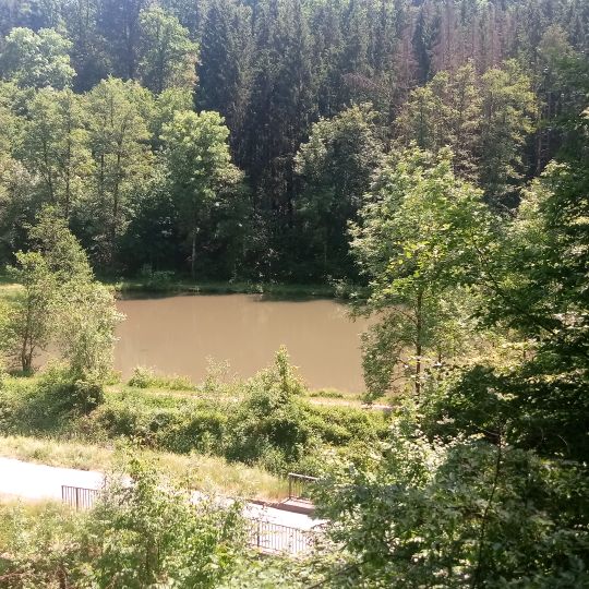 Waldsee Neckargerach