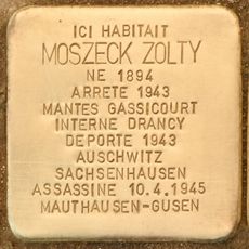 Moszeck Zolty