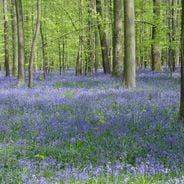 Lugares escondidos na Bélgica