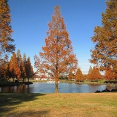 Kazo Hanasaki Park