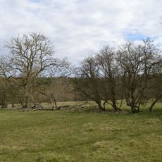 Tingewick Meadows