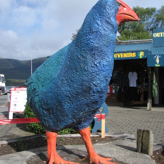 Big Takahe