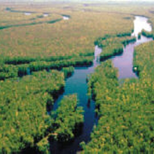 Waccamaw National Wildlife Refuge