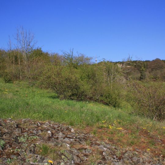 Langenstüttig und Basaltblockmeer am Buchschirmküppel bei Batten