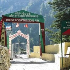 Gangotri National Park