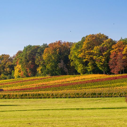 Kälbling und Umgebung