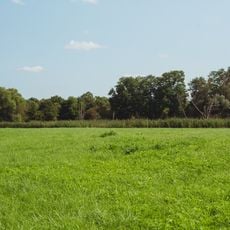 Naturschutzgebiet "Saaraue nordwestlich Wadgassen" (N 6706-303)