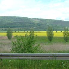 Kielforst