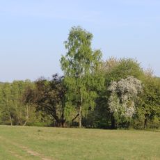 Rabengrund von Wiesbaden