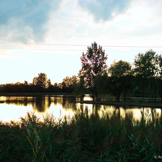 Tiszavasvári Fehér-szik Természetvédelmi Terület