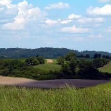 Feldgehölz bei Siglershofen
