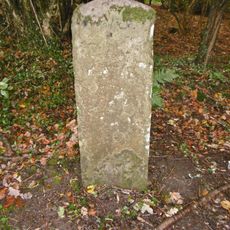 Milestone, by Forest track