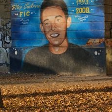 Filip Ćurković Fic