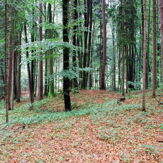 Grabhügelgruppe und römerzeitliches Siedlungsgebiet Otternitz