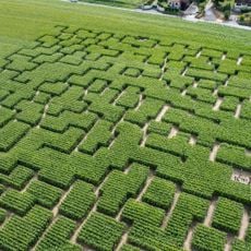Pop Corn Labyrinthe YVELINES