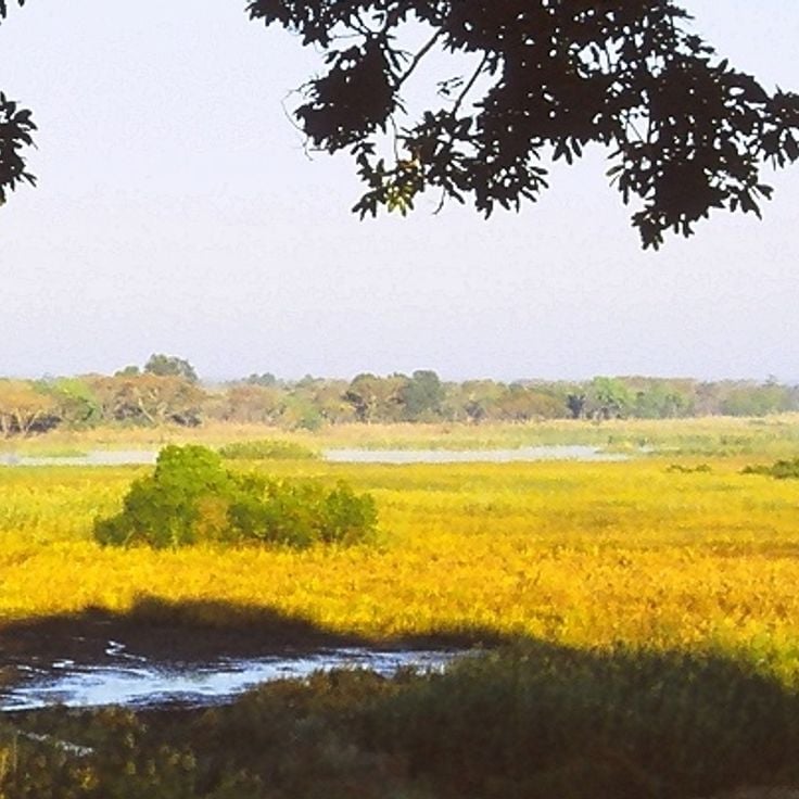 Kasanka National Park
