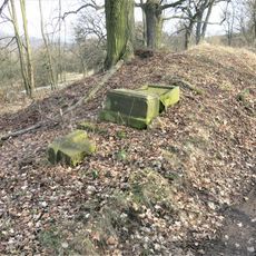 Kříž na jižním okraji Českého Bukova