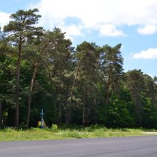 Forest alley nature reserve
