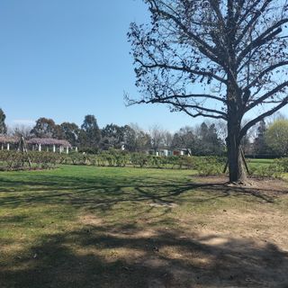 Old Parliament House Gardens