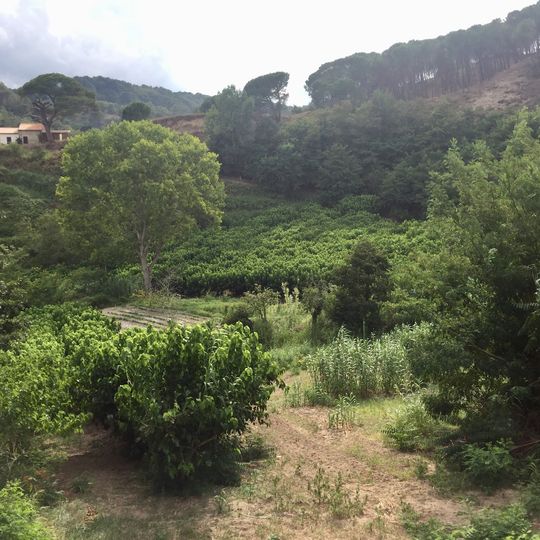 Museo della Seta - Nido di Seta