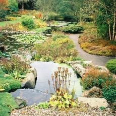 St Andrews Botanic Garden